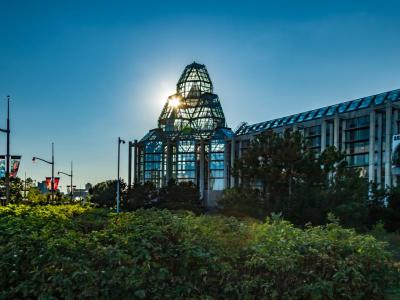 National Gallery Of Canada