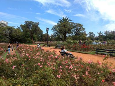 Rose Garden