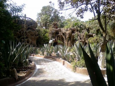 The Giza Zoo