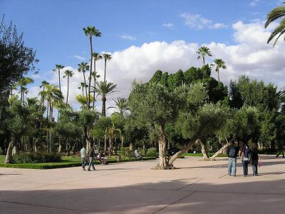 Jnane El Harti