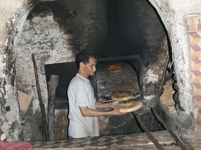 Farnatchis