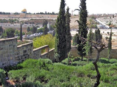 BYU Jerusalem Center