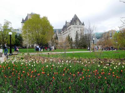 Major's Hill Park