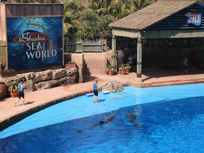 Ushaka+marine+world+rides