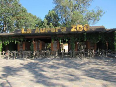6  aurora zoo