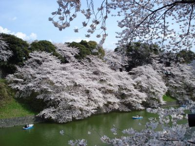 Chidorigafuchi