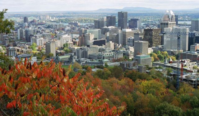 Downtown Montreal Walking Tour