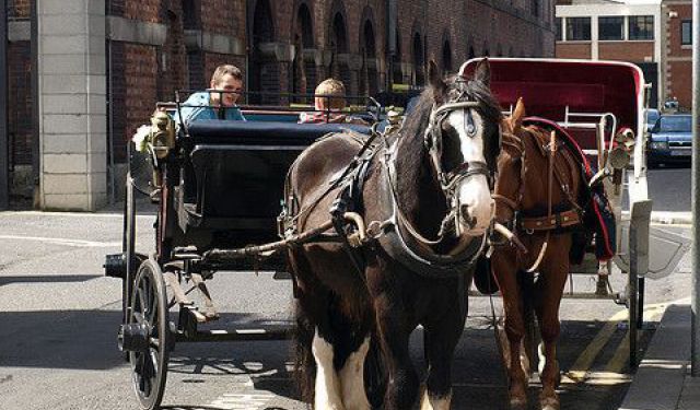Kids Entertainment Tour in The Old Part of Dublin