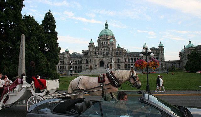 Specialty Shopping Tour of Victoria