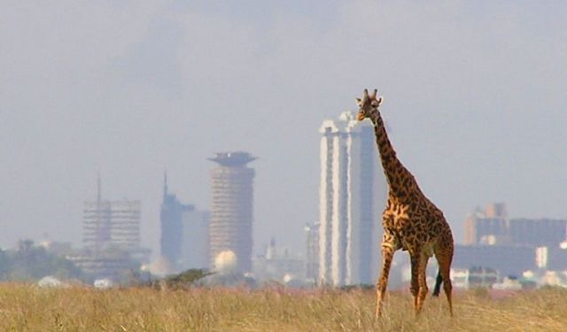 Nairobi City Orientation Tour