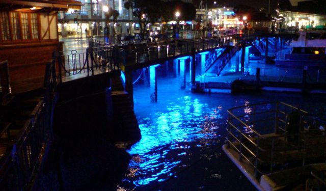 Auckland Night Venues Tour