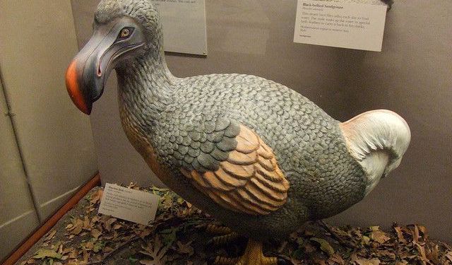 Museums Tour of Port Louis