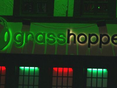 Grasshopper