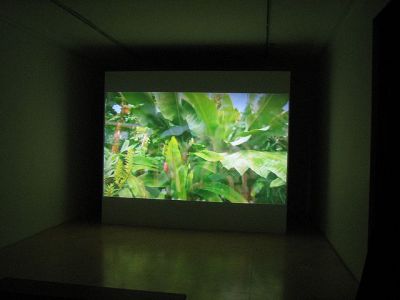 Rubicon Gallery