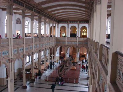 National History Museum