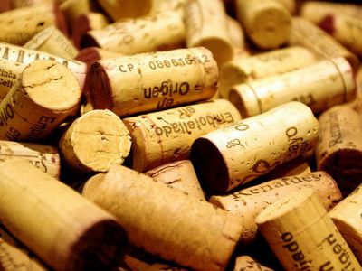 Rey del Vino