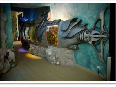 Natural History Museum & Aquarium