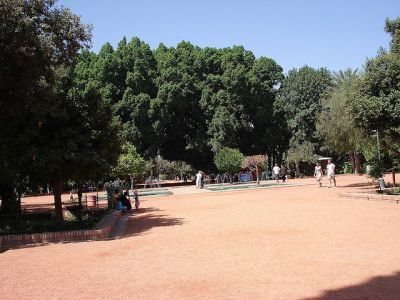 Cyber Park
