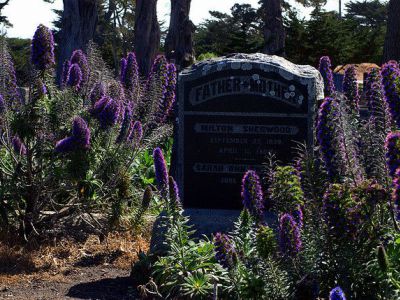 Monterey Graveyard