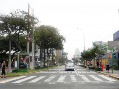 Avenue Ricardo Palma