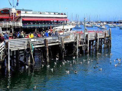 Fisherman's Wharf