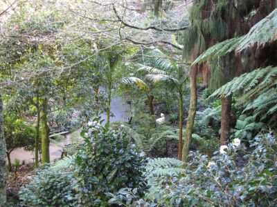 Eden Garden