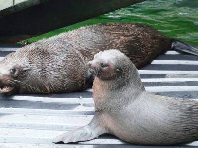 Sydney Aquarium