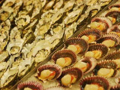 Palace Seafoods Wholesalers
