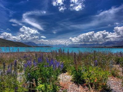 NZ Panorama
