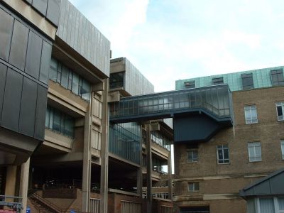 The University Museum of Zoology