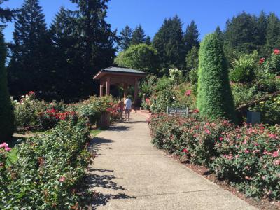 International Rose Test Garden, Portland