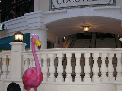CocoWalk