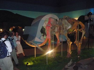 Ice Age Museum