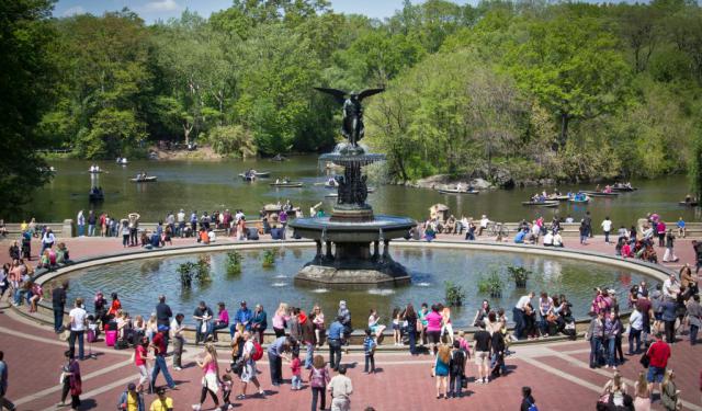 New York's Central Park Walking Tour