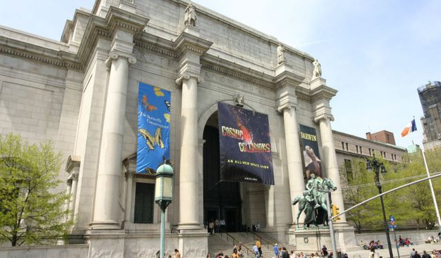 New York's Top Museums Walking Tour
