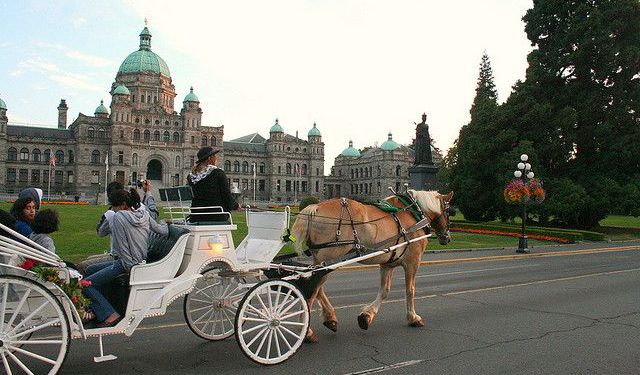 Victoria Parks and Gardens Tour