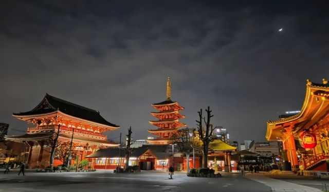Visiting Tokyo in Cherry Blossom Season