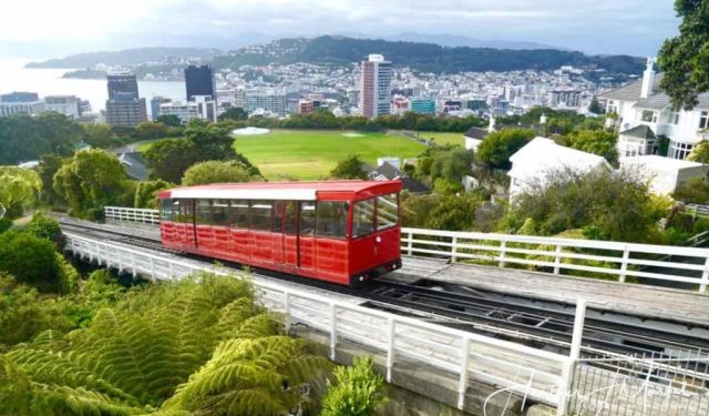 Wandering in Wellington – Discover New Zealand