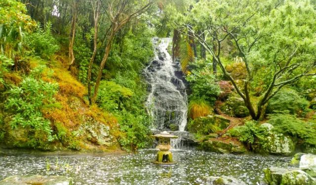 How to Spend Three Days in Wellington
