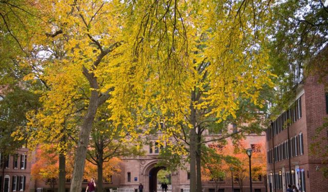 How to Visit New Haven like a Gilmore Girl