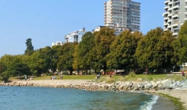 1 Day in Vancouver Itinerary for Traveling Foodies