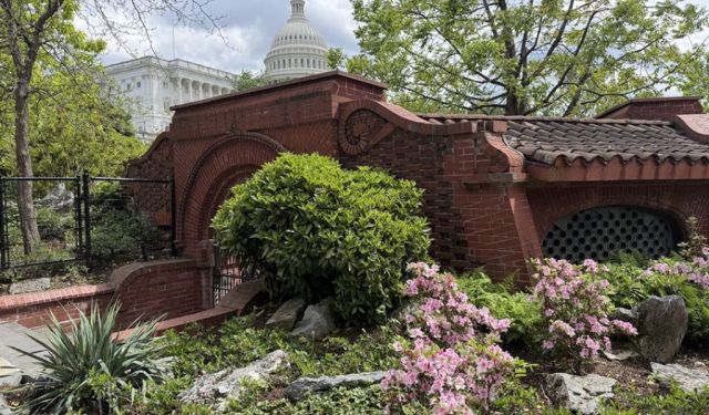 Hidden Gems Near the Smithsonian: 10 Overlooked Stops on the