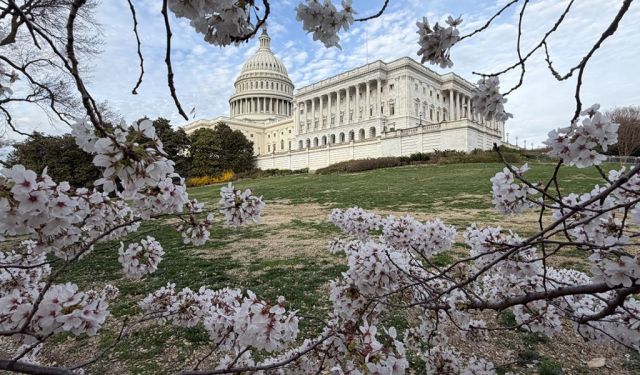 50 Free Things to Do in Washington, DC