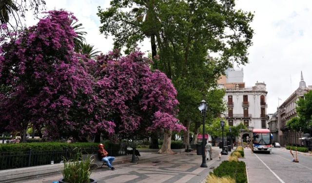 Jesuit Monuments in Cordoba, Argentina