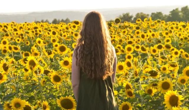 40+ Amazing Things to Do in Buffalo, NY (Part 2)