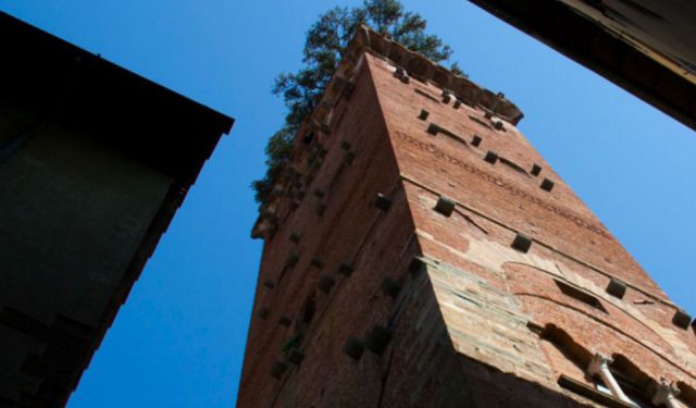 Within the Walls of Lucca