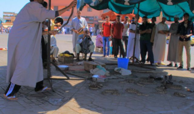 Sights and Sounds of Marrakech