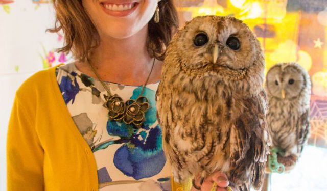 Visiting Tokyo's Owl Cafe: Fukuro no Mise