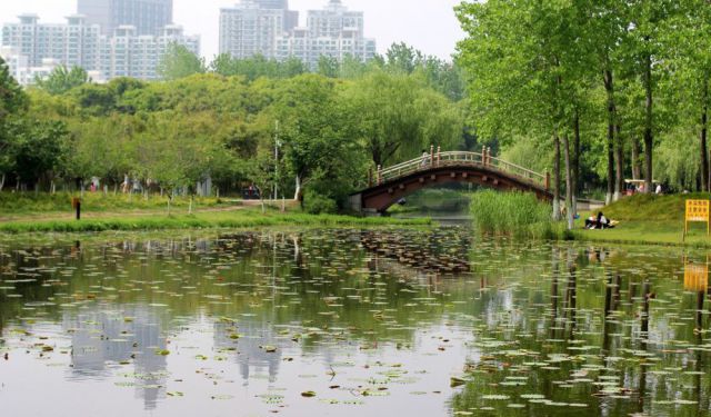 Thinking Green in Shanghai