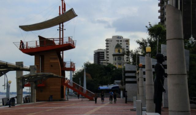 An Intrigue of Iguanas in Guayaquil, Ecuador